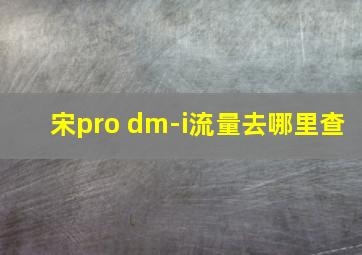 宋pro dm-i流量去哪里查